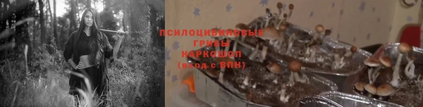 метадон Алзамай