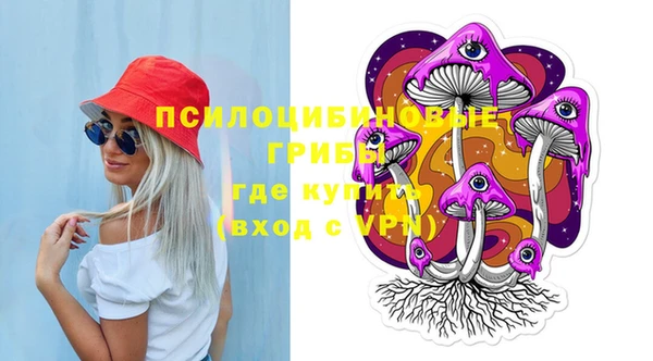 сатива Алексин