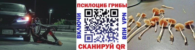 Галлюциногенные грибы Magic Shrooms  Сельцо 